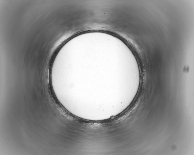 X0000093621317200711121226