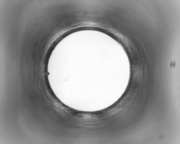 X0000093621318200711121226