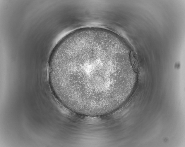 X0000093621320200711121226