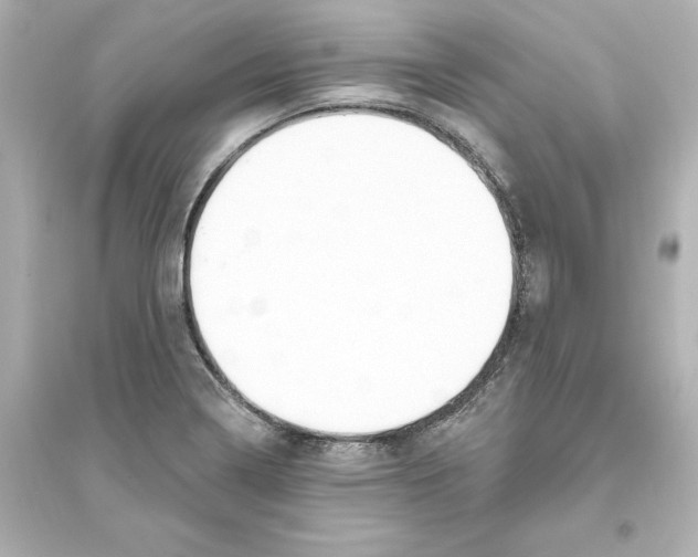 X0000093621322200711121226