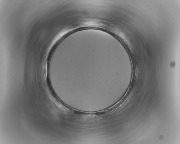 X0000093621323200711121226