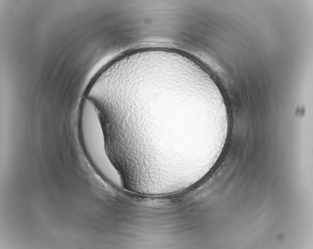 X0000093621325200711121226