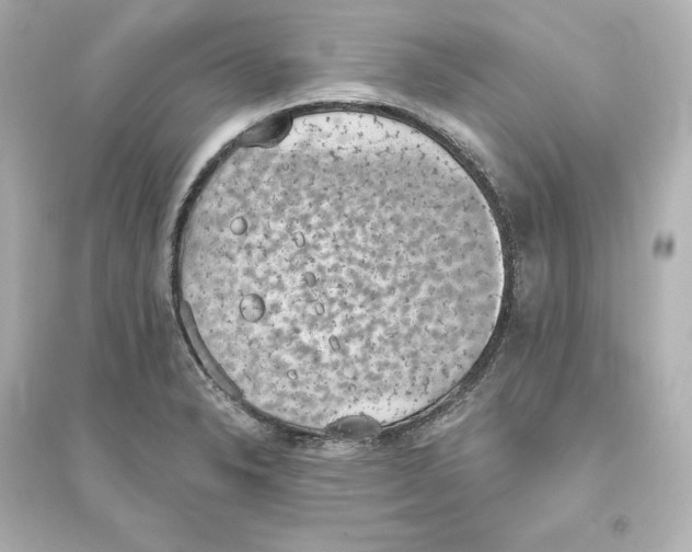 X0000093621326200711121226