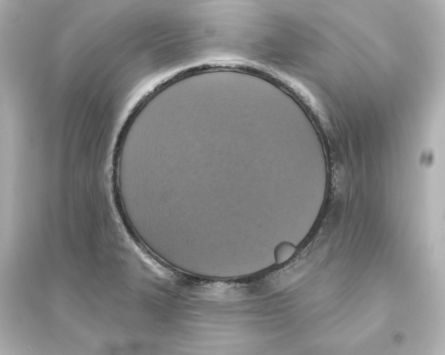 X0000093621327200711121226