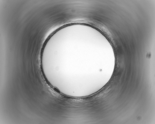 X0000093621328200711121227