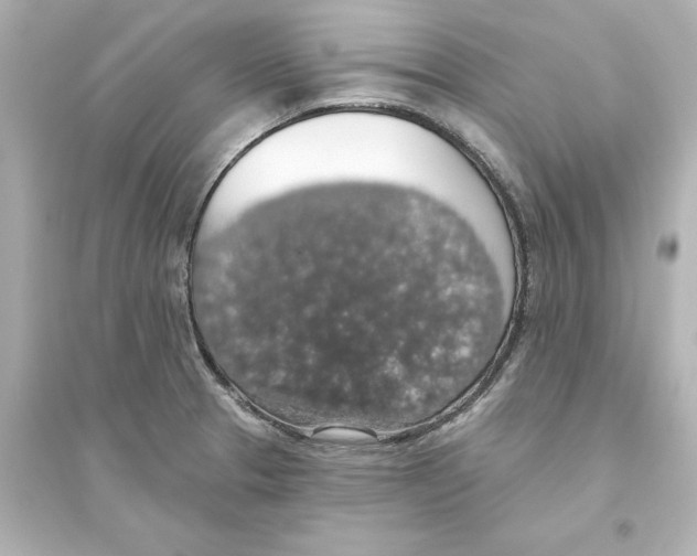 X0000093621329200711121227