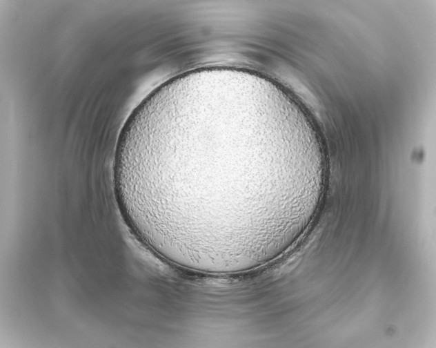 X0000093621330200711121227