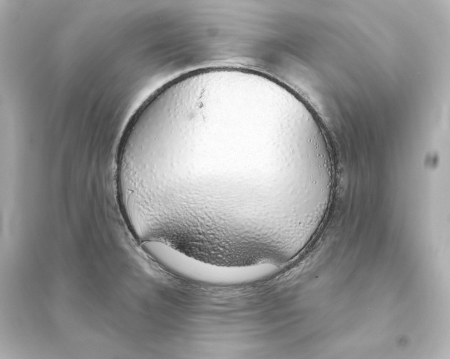 X0000093621332200711121227