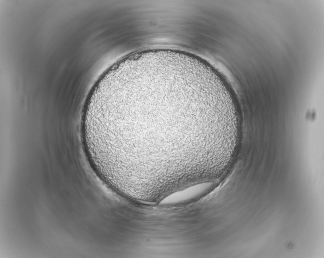 X0000093621333200711121227