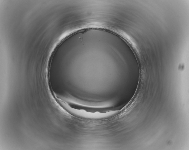 X0000093621334200711121227