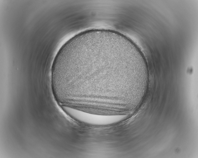 X0000093621335200711121227