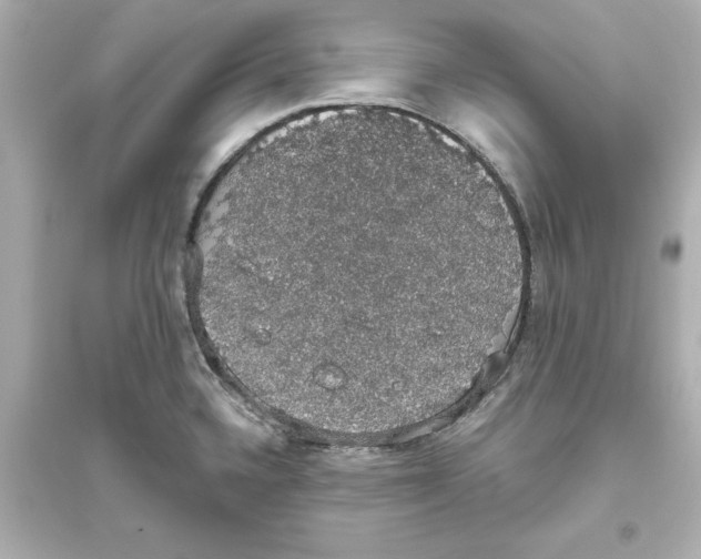 X0000093621336200711121227