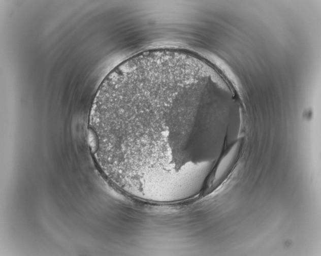 X0000093621337200711121227