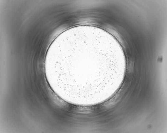 X0000093621338200711121227