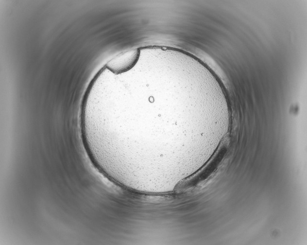 X0000093621339200711121227