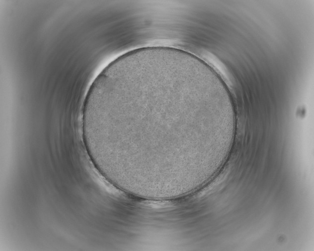 X0000093621340200711121227