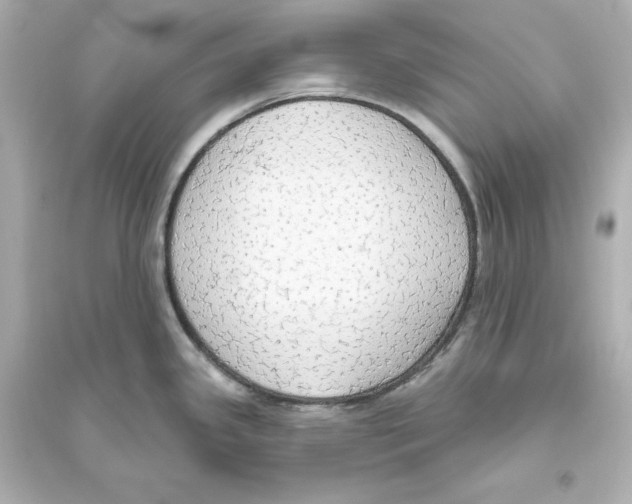 X0000093621341200711121227