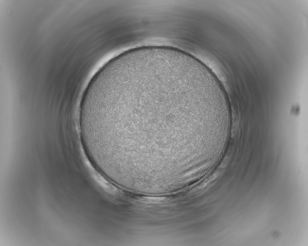 X0000093621342200711121227