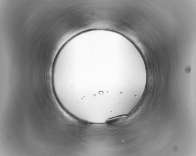 X0000093621343200711121227