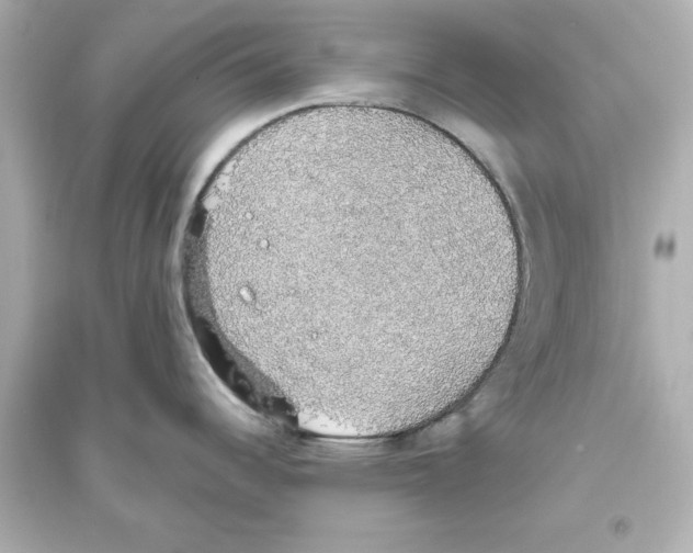 X0000093621344200711121227