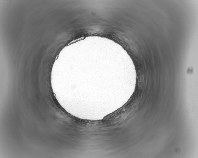 X0000093621345200711121226