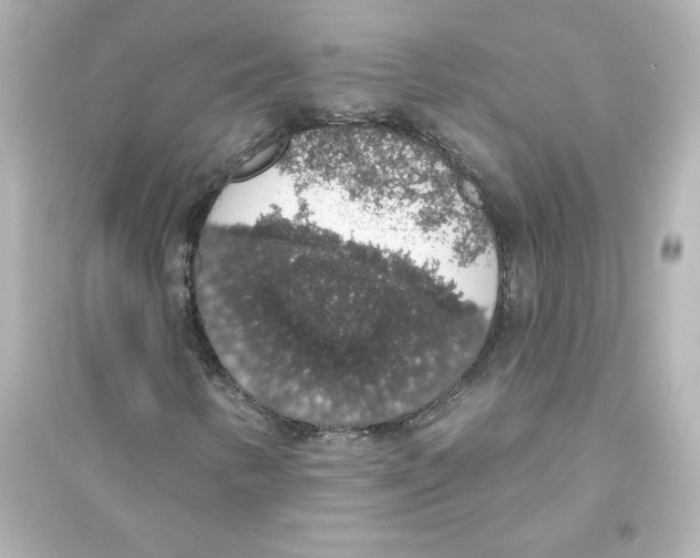 X0000093621346200711121226