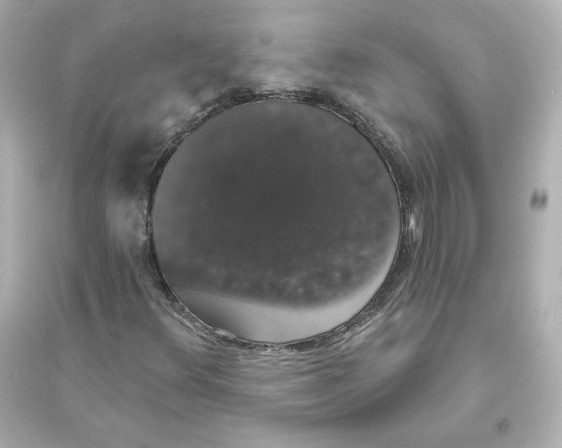 X0000093621348200711121226