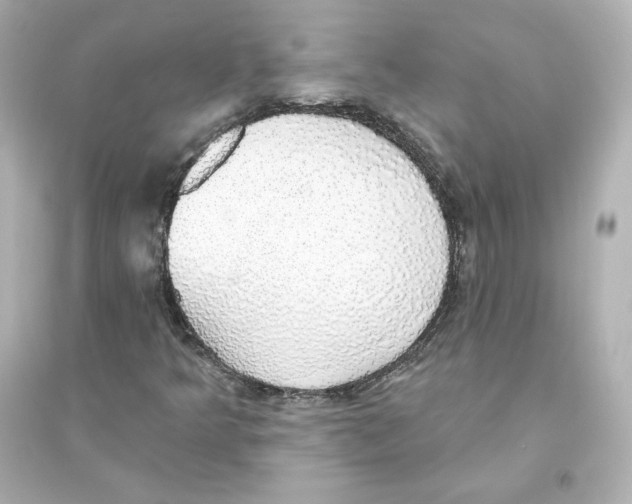 X0000093621349200711121226