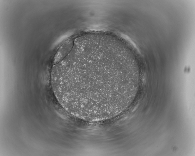 X0000093621350200711121226