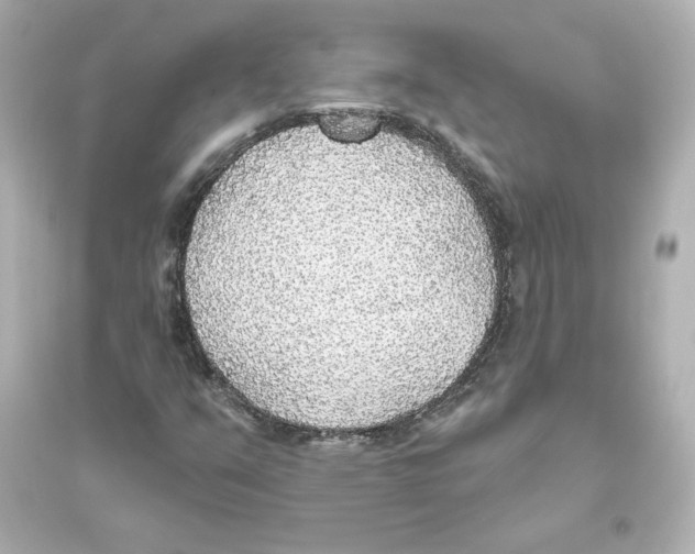 X0000093621351200711121226