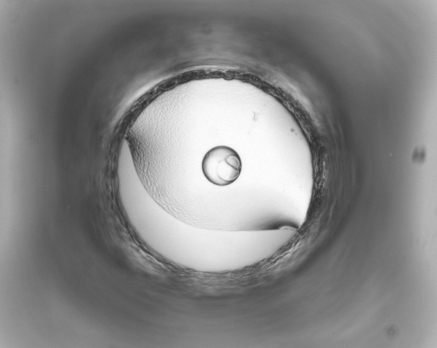 X0000093621352200711121226