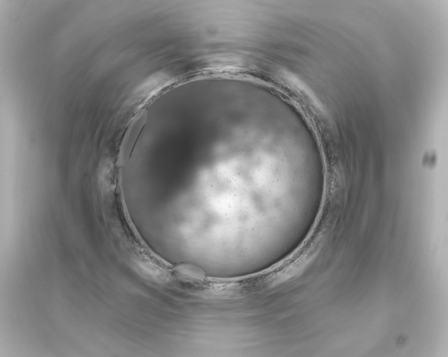 X0000093621353200711121226