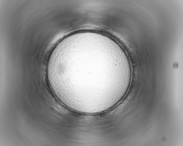 X0000093621355200711121226