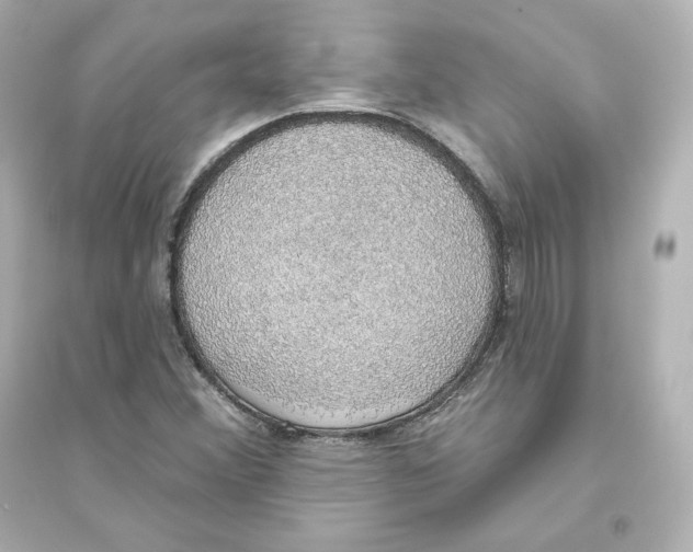 X0000093621356200711121226