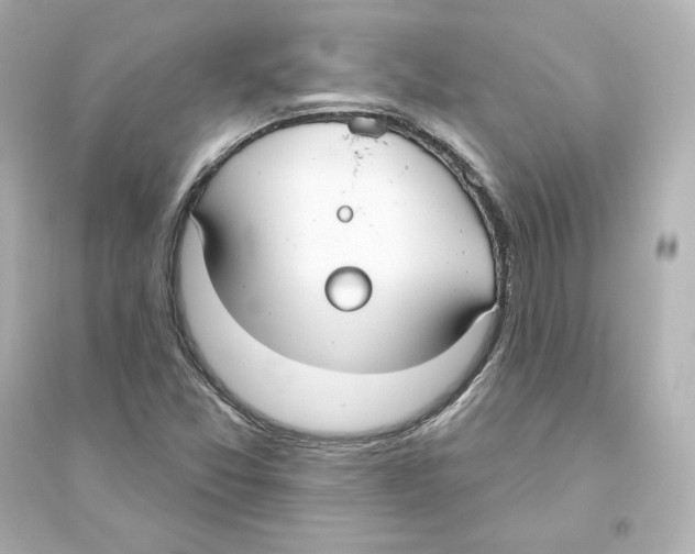 X0000093621357200711121226