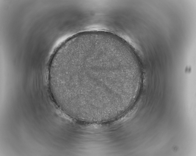 X0000093621358200711121226