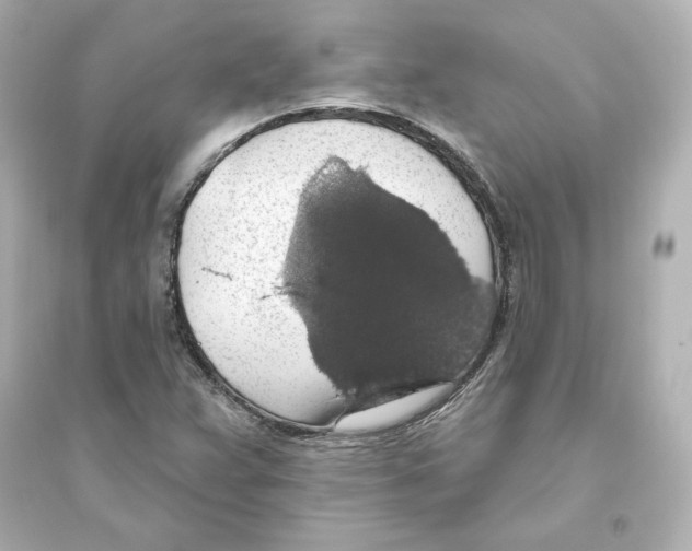 X0000093621359200711121226