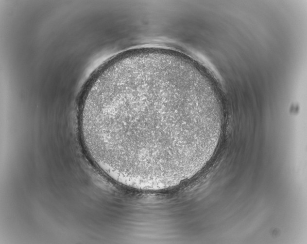 X0000093621360200711121226