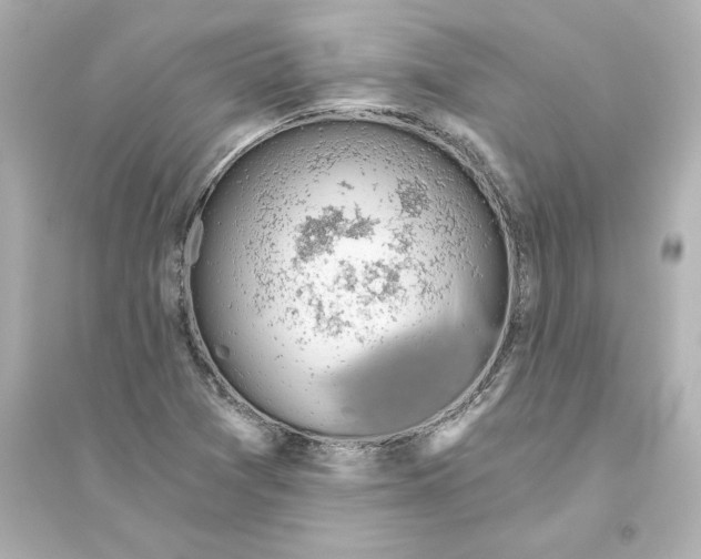 X0000093621361200711121226