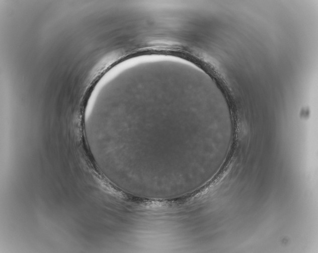 X0000093621362200711121226