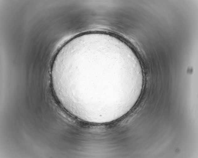 X0000093621363200711121226