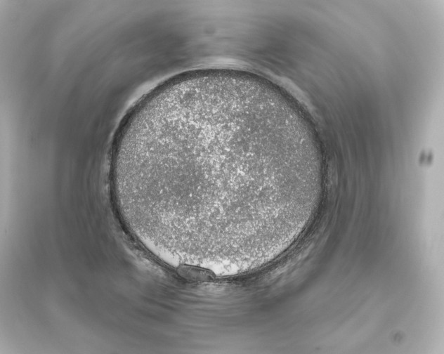 X0000093621364200711121226