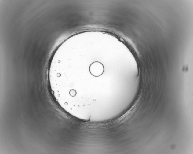 X0000093621365200711121226