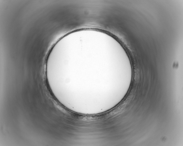 X0000093621366200711121226