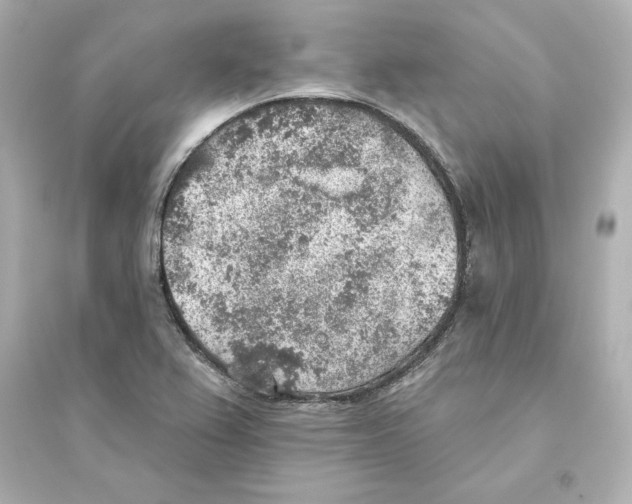 X0000093621367200711121226