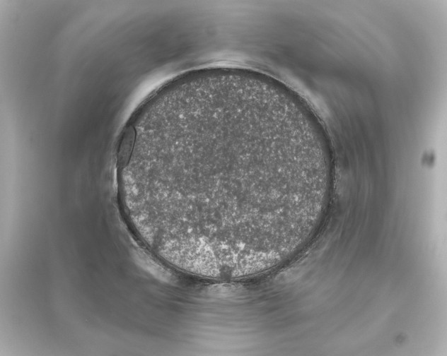 X0000093621368200711121226