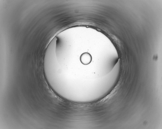 X0000093621369200711121226