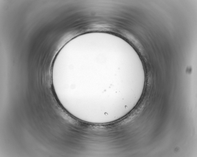 X0000093621370200711121226