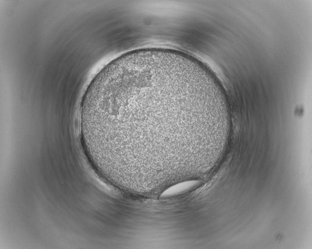 X0000093621371200711121226