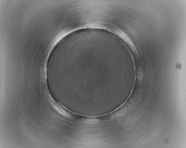 X0000093621372200711121226